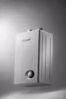 Водонагреватель газовый Rinnai BR-W24 Водонагреватель газовый Rinnai BR-W24