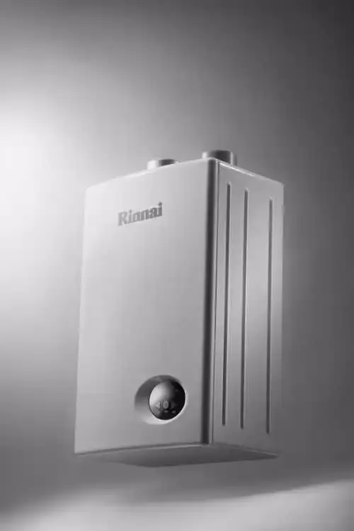 Водонагреватель газовый Rinnai BR-W24
