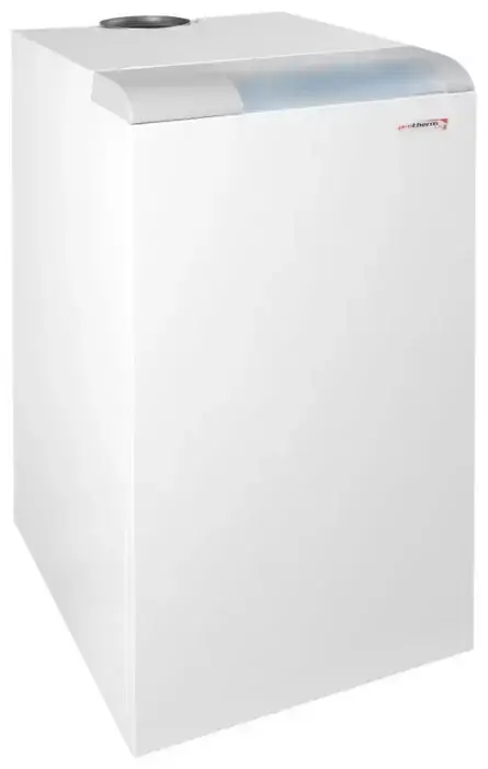 Напольный газовый котел Protherm Медведь 20 TLO
