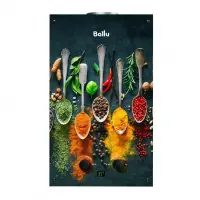 Водонагреватель проточный газовый Ballu GWH 10 Fiery Glass Curry Водонагреватель проточный газовый Ballu GWH 10 Fiery Glass Curry