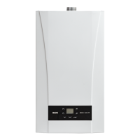 Настенный газовый котел BAXI ECO Nova 1.24F New