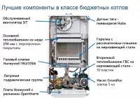 Настенный газовый котел BAXI ECO Nova 10 F Настенный газовый котел BAXI ECO Nova 10 F