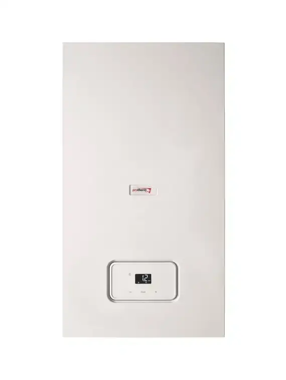 Настенный газовый котел Protherm Рысь К 25/30 MKV