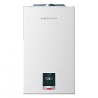 Настенный газовый котел Mizudo Lite Comfort M22HP OPT