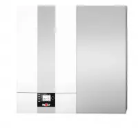 Настенный конденсационный газовый котел Wolf CGW-2-20/120L