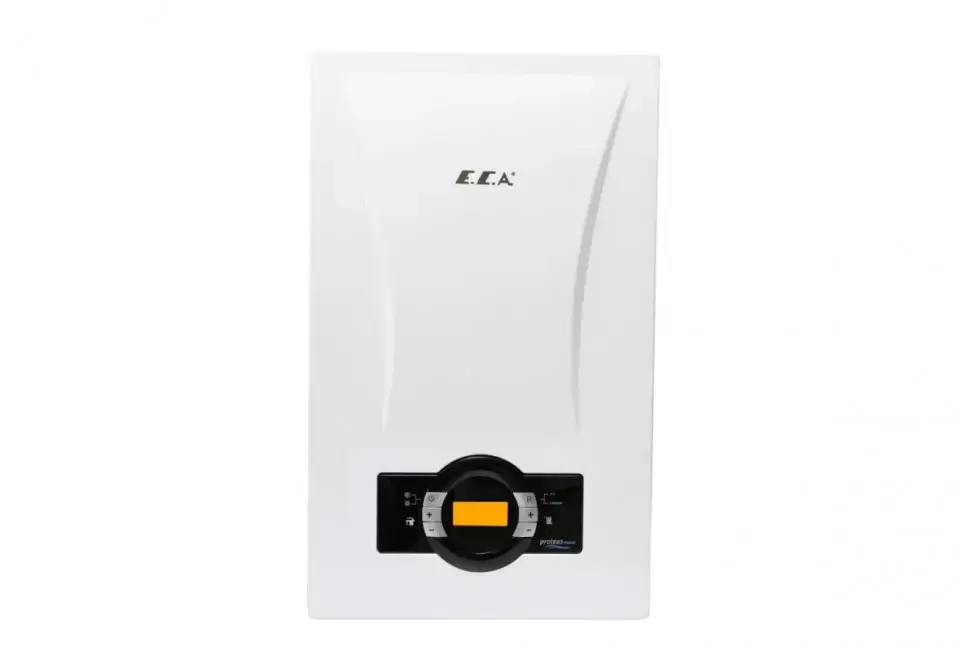 Настенный газовый котел E.C.A. Proteus Premix 20 HCH NG