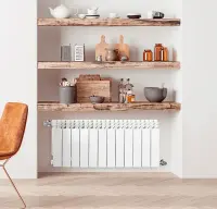 Биметаллический радиатор отопления Fondital 350/100 Alustal Plus 8 секций