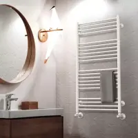 Электрический полотенцесушитель Royal Thermo Casa П18 500х1000 белый Электрический полотенцесушитель Royal Thermo Casa П18 500х1000 белый